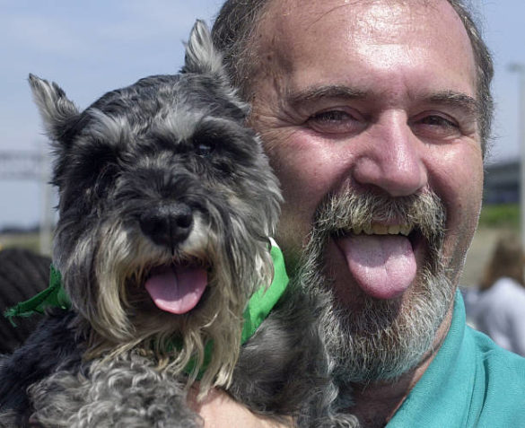 WOOFSTOCK-June 7, 2003-Fred the Schnauzer and his owner Bob Wojcichowsky, won the 'Dog that Most Looks like Owner' contest at Woofstock, a festival for dogs held at Toronto's The Distillery, Saturday June 7, 2003. (TANNIS TOOHEY/TORONTO STAR) (Photo by Tannis Toohey/Toronto Star via Getty Images)