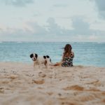 spiagge per cani in Sardegna