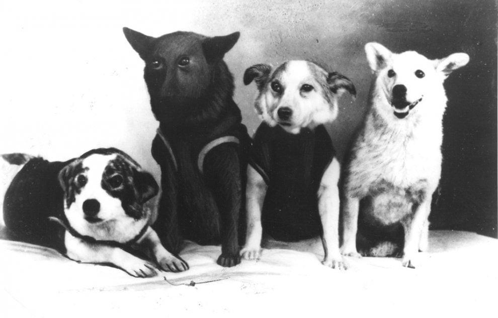 Image default