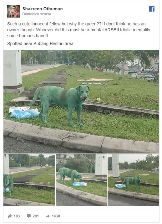 cane verniciato di verde