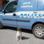 Cane poliziotto in pericolo di vita