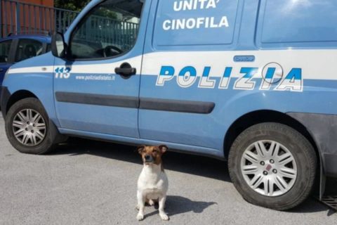 Cane poliziotto in pericolo di vita