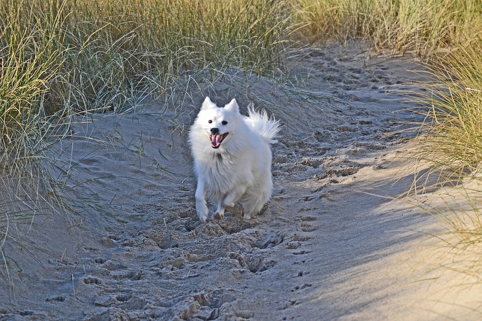 Image default