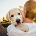 Pet Therapy cani bullismo