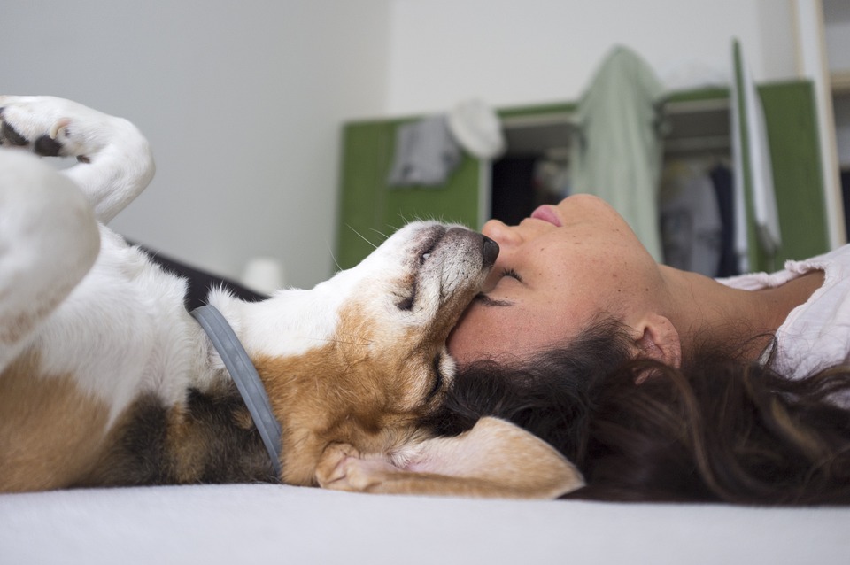 cane e padrone