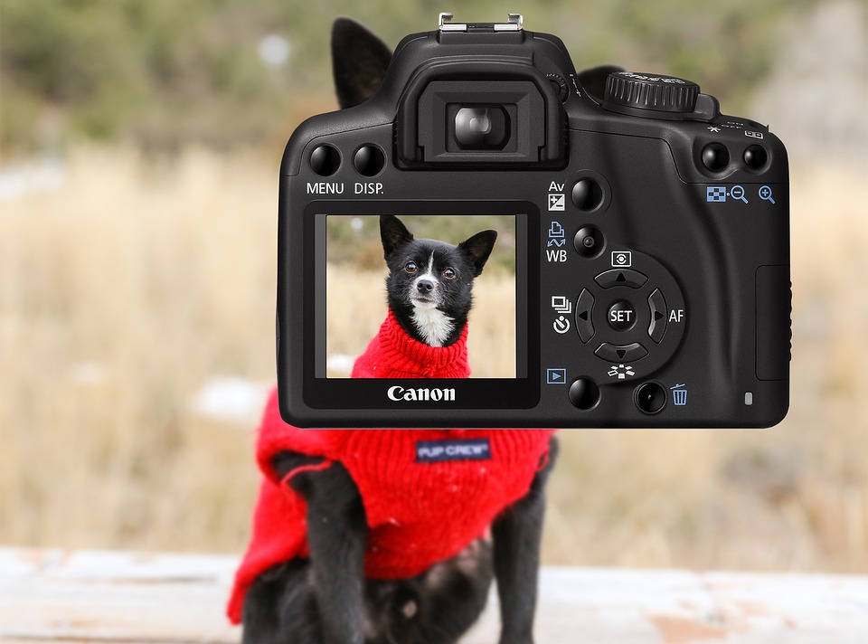 Image default