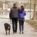 separazione e affidamento cane