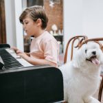 musica per cani