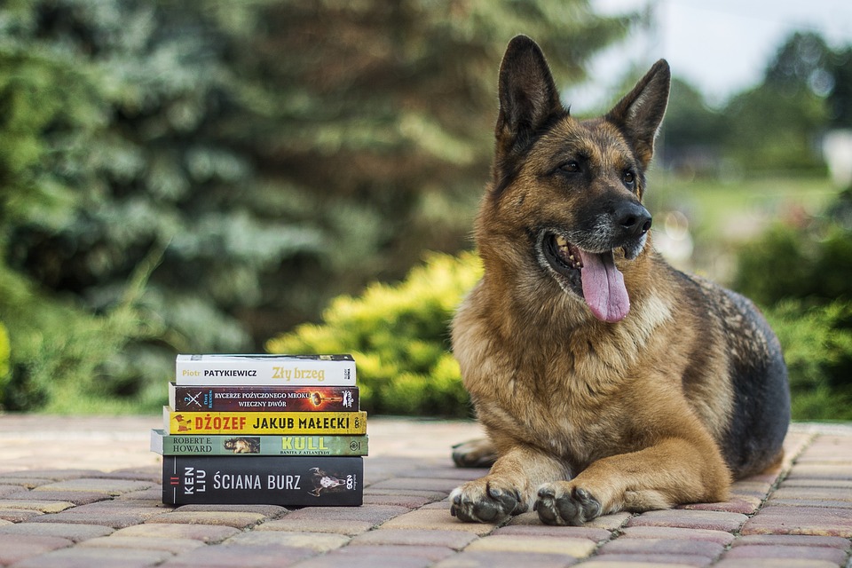 libri sui cani