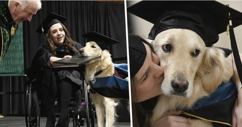 storie di cani: cane si laurea