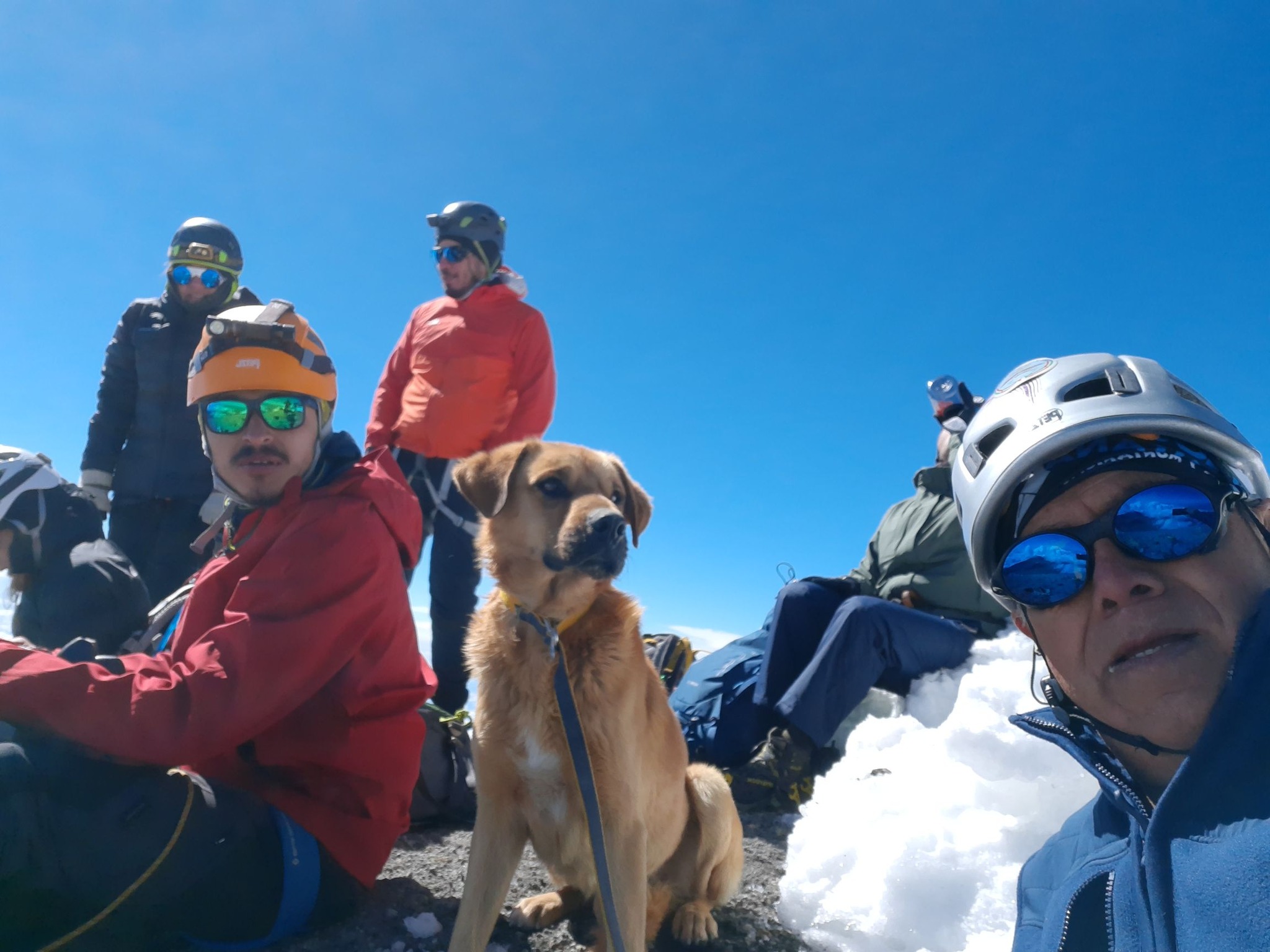 storie di cani: canelo