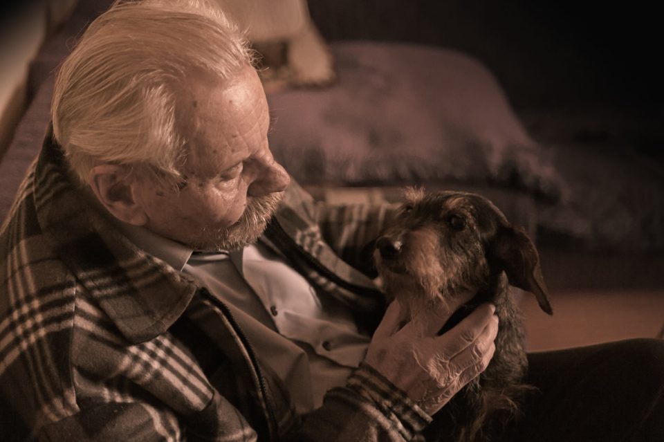Anziano con cane
