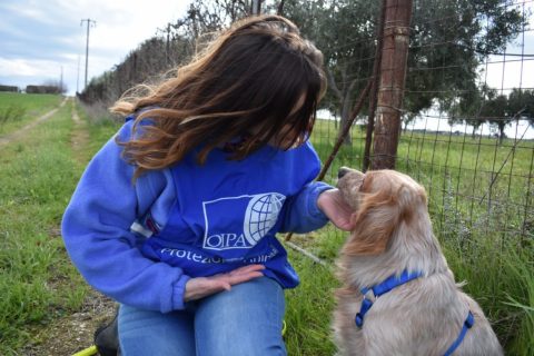 volontaria oipa con cane