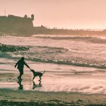 in vacanza con il cane all'estero