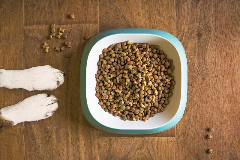 mangime per cani di alta qualità