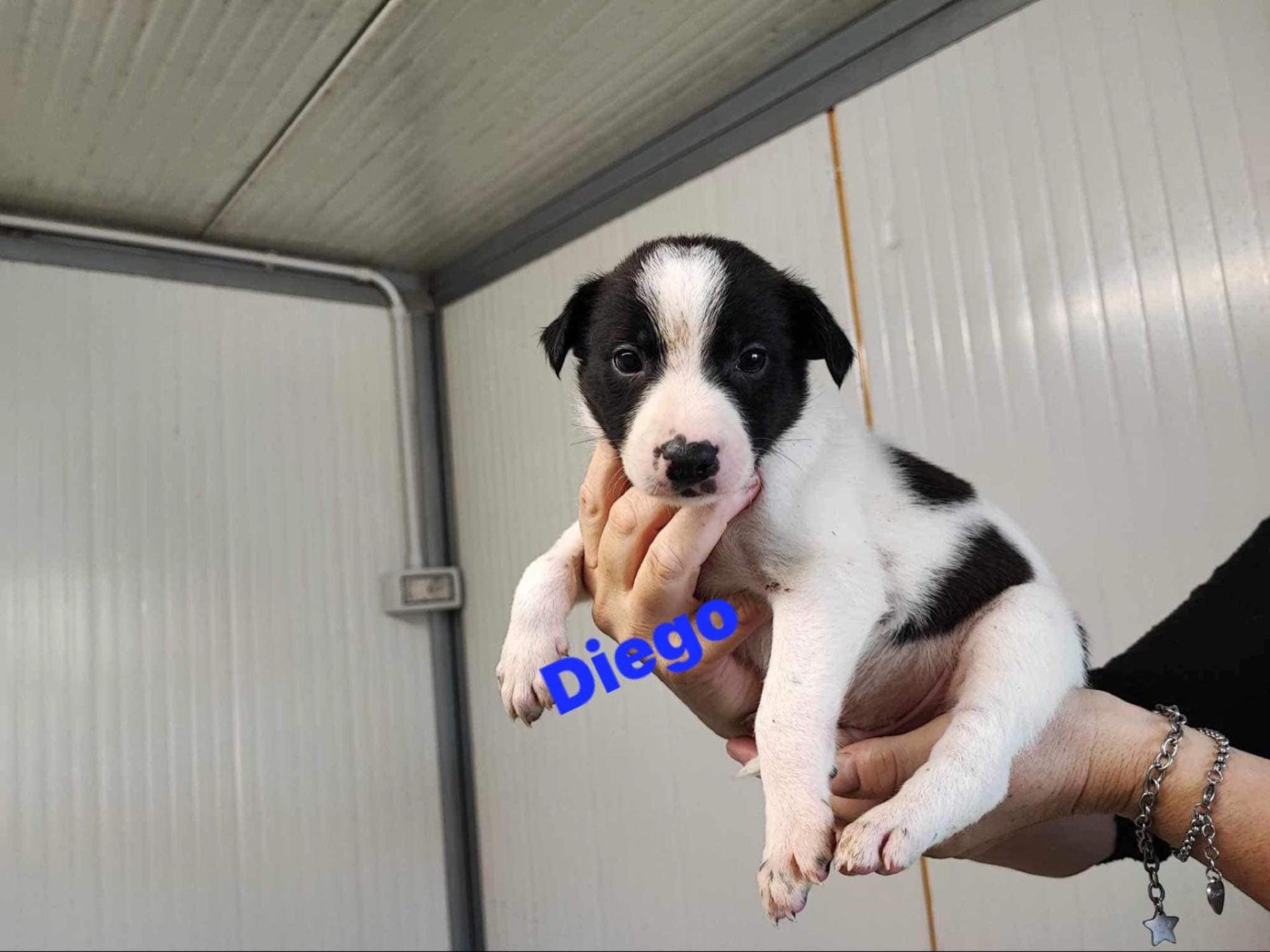 Image default