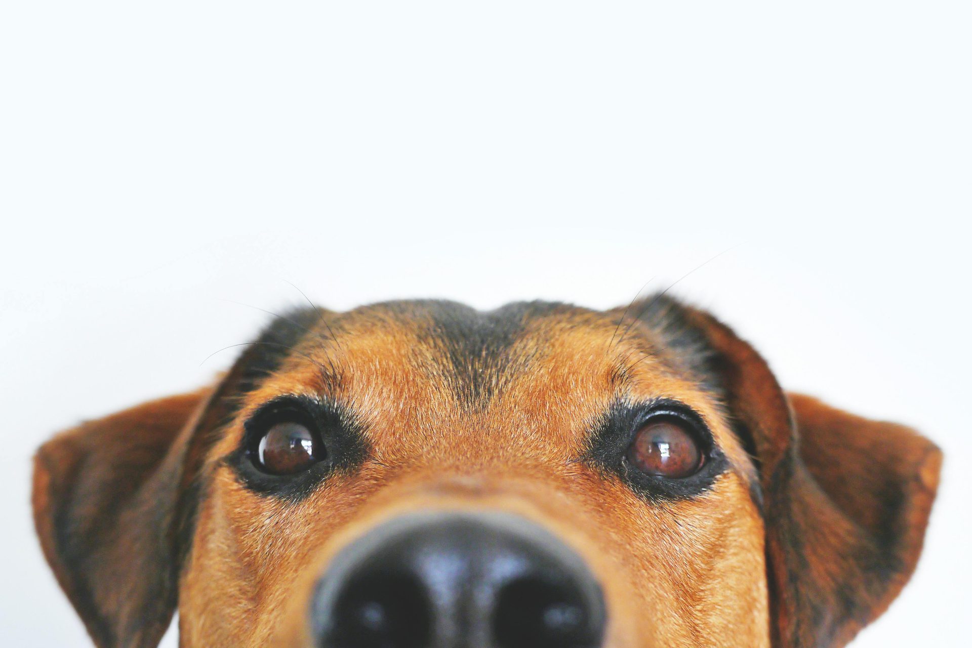 Image default