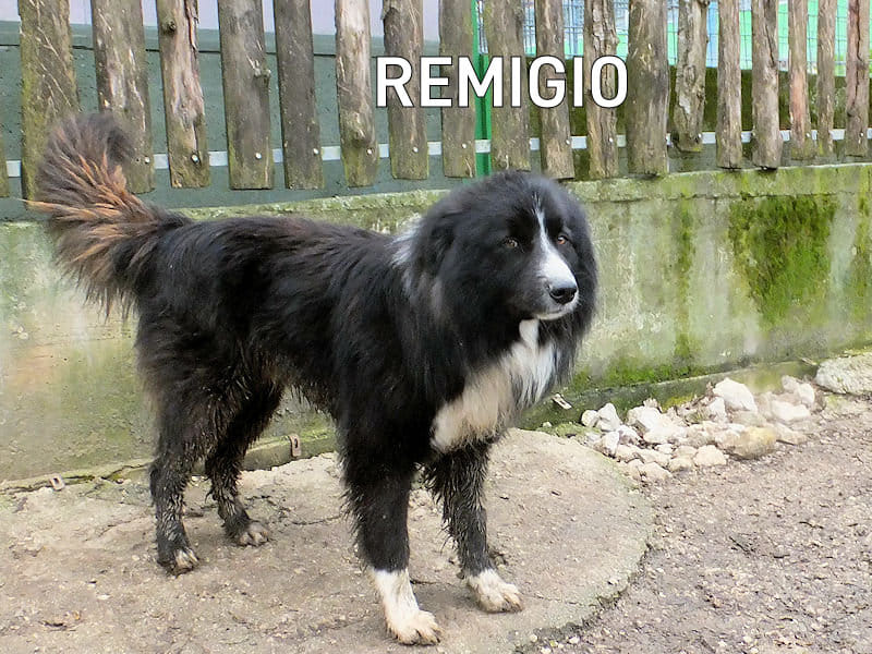 Image default