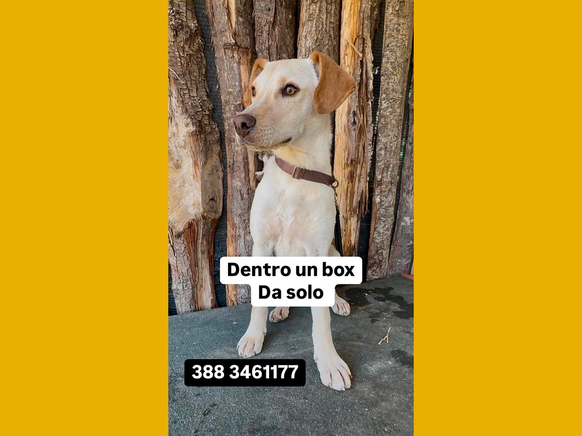 Image default