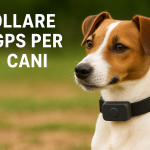 Collare GPS per cani 2025 con localizzatore in tempo reale