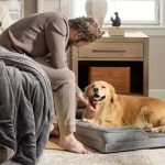 Cuccia ortopedica per cani in memory foam con supporto articolare